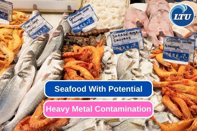 Heavy Metals in Seafood: Understanding the High-Risk Species